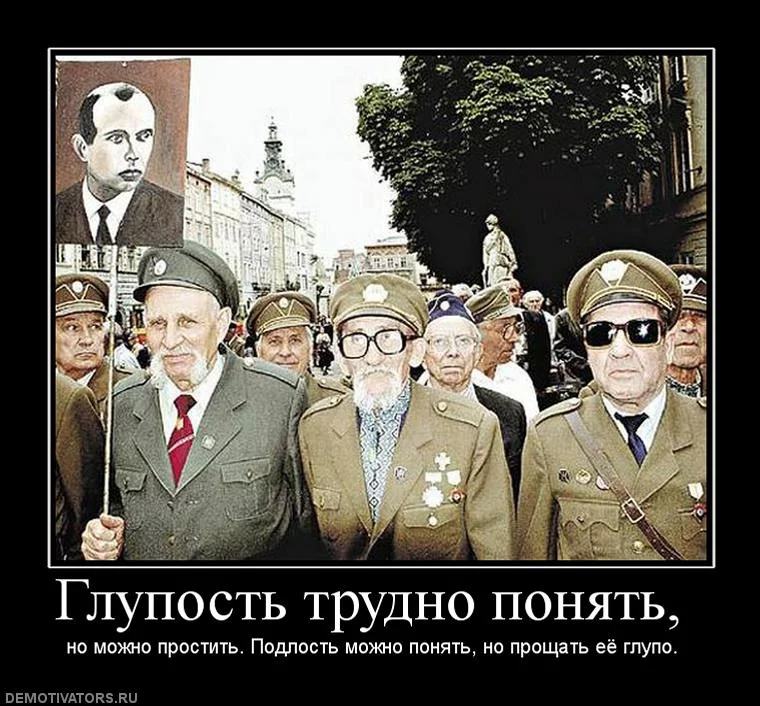 263311_original.webp