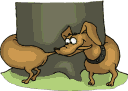 263704109.gif