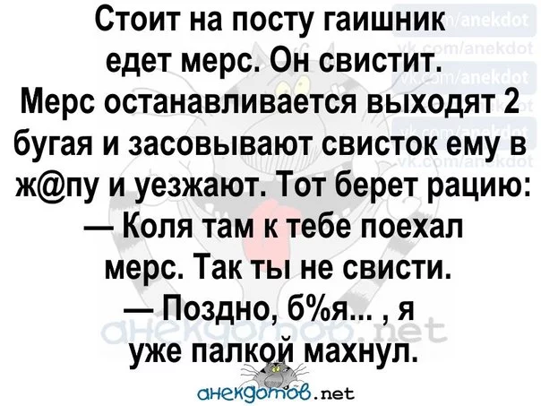 263779976_0.webp
