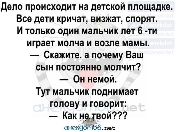 263780098_0.webp