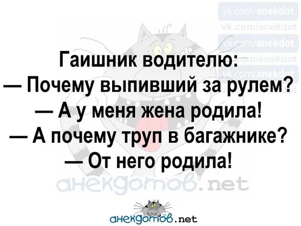263786538_0.webp