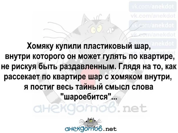 263789030_0.webp