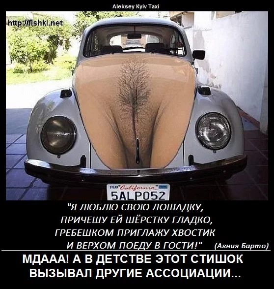 263869_621334.webp