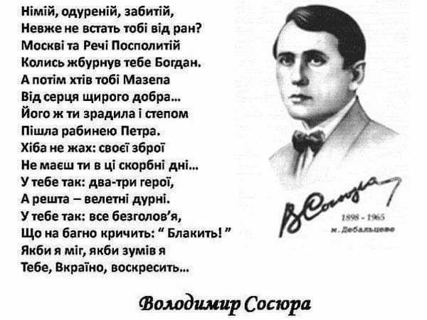 264411856-18323.webp