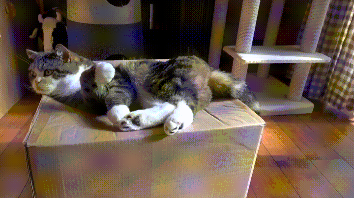 266437751c61a89f5b819.gif
