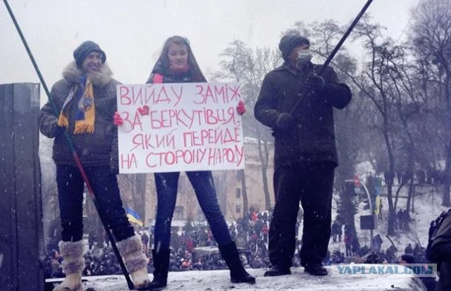 2676570.webp