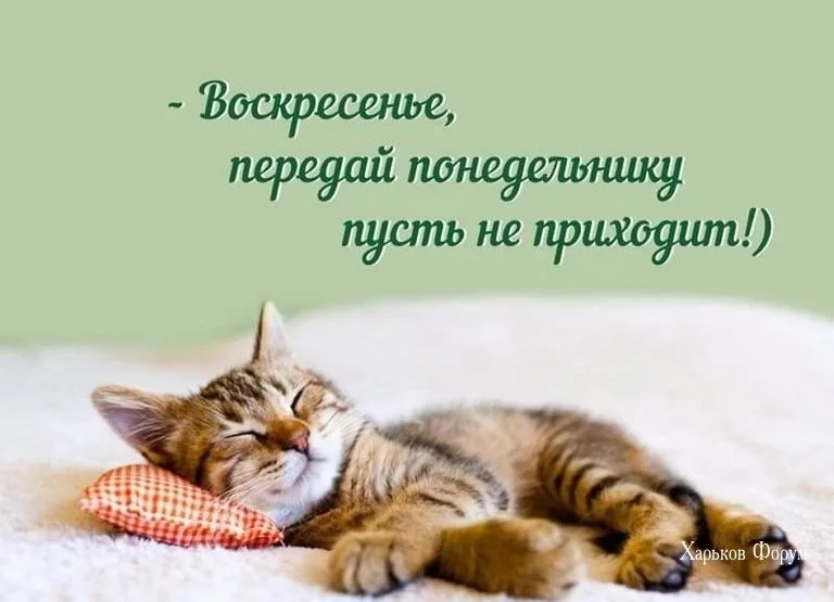 267684160c9fa85cb.webp