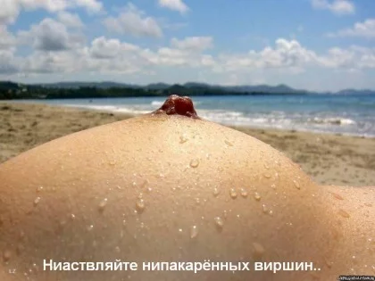 267953.webp