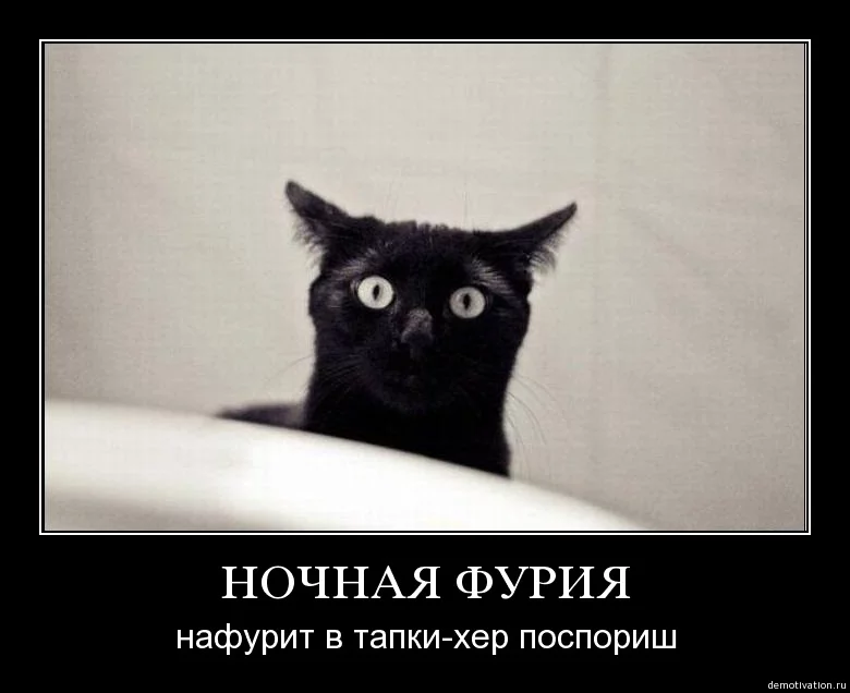 267a5f730e34671d54a688b798030740.webp