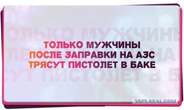 2686980.jpg
