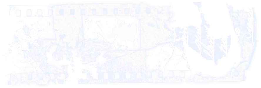 268c8c745aae75bd39486521a500cbc3.webp