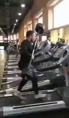 268d5475c5c44a2d2.gif