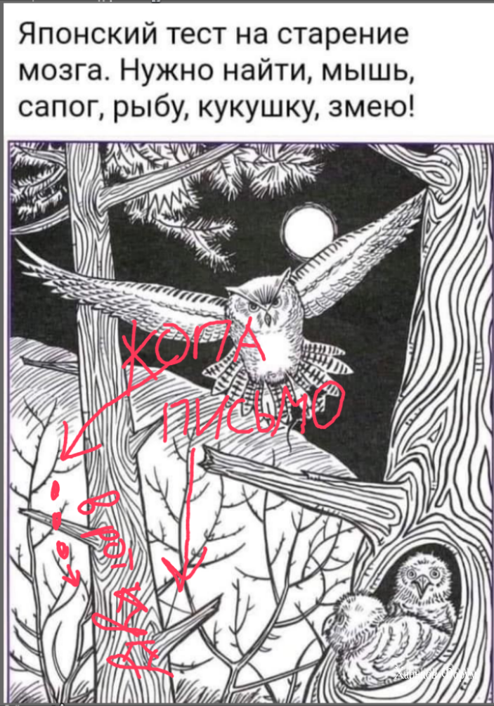 26baba141d0806e93ea79a.png