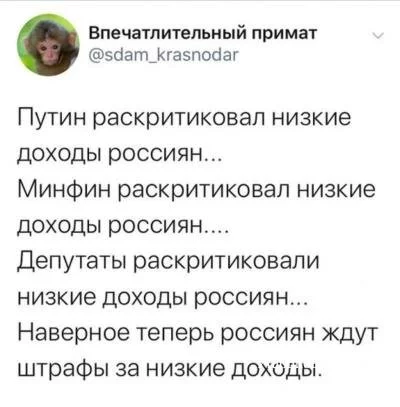 26fa8b8ef682803b.webp