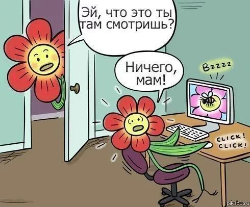 26z.webp