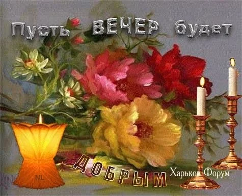 27011e2b020fe96fd.webp