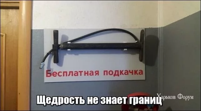 27193ca08f44ab454.webp