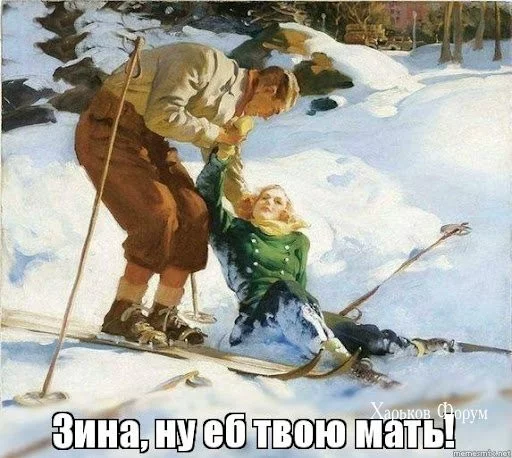 271d6bd39473c225238e.webp