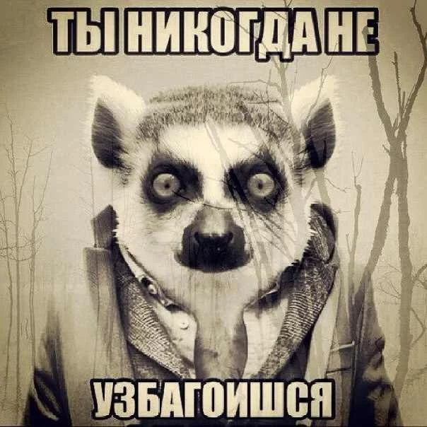 2722388_original.webp