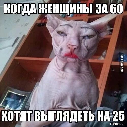 27234cf6049a9e5b2f8d.webp