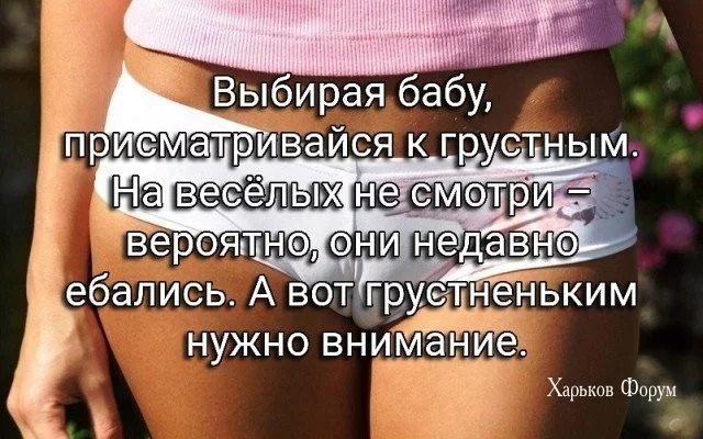 27240d10ba2787c0ad2509f5.webp