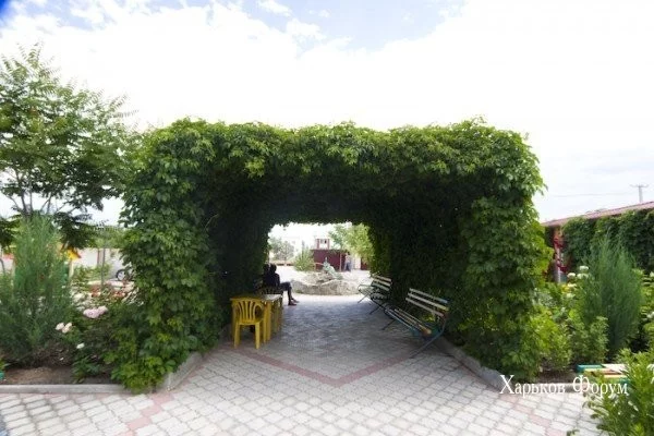 272d28db085196f990.webp