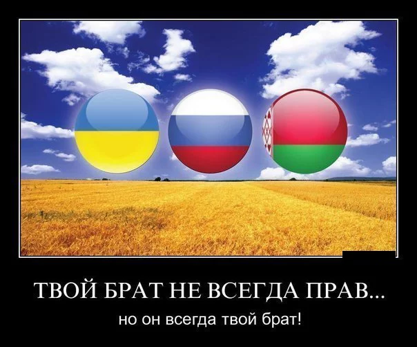 273726288.webp