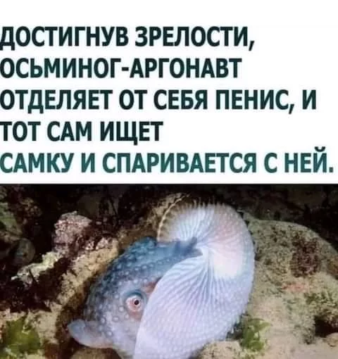 274035595-5084114904965908-1868152311022907874-n.webp