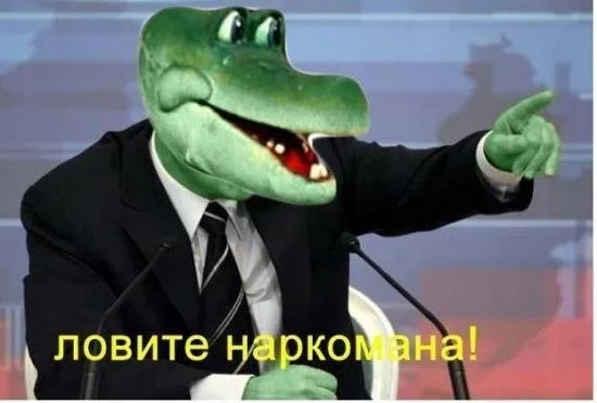 2741006.webp