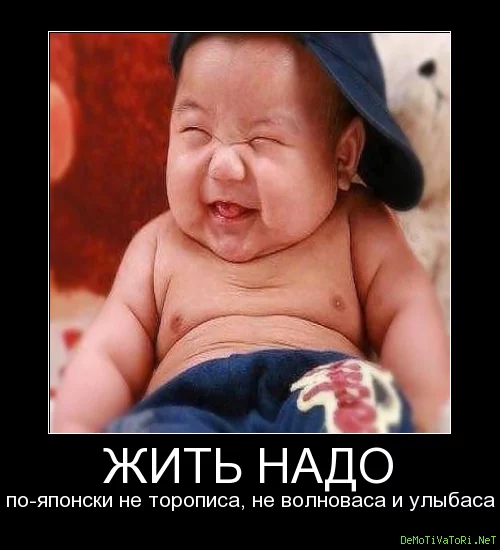 274f81b499b3814a29296fd573479816.webp