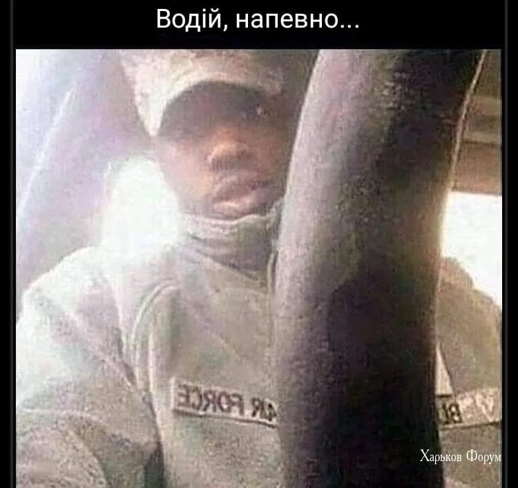 27502e60b99b02d6ca.webp