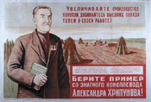 27522147_Konoplevod_2.webp