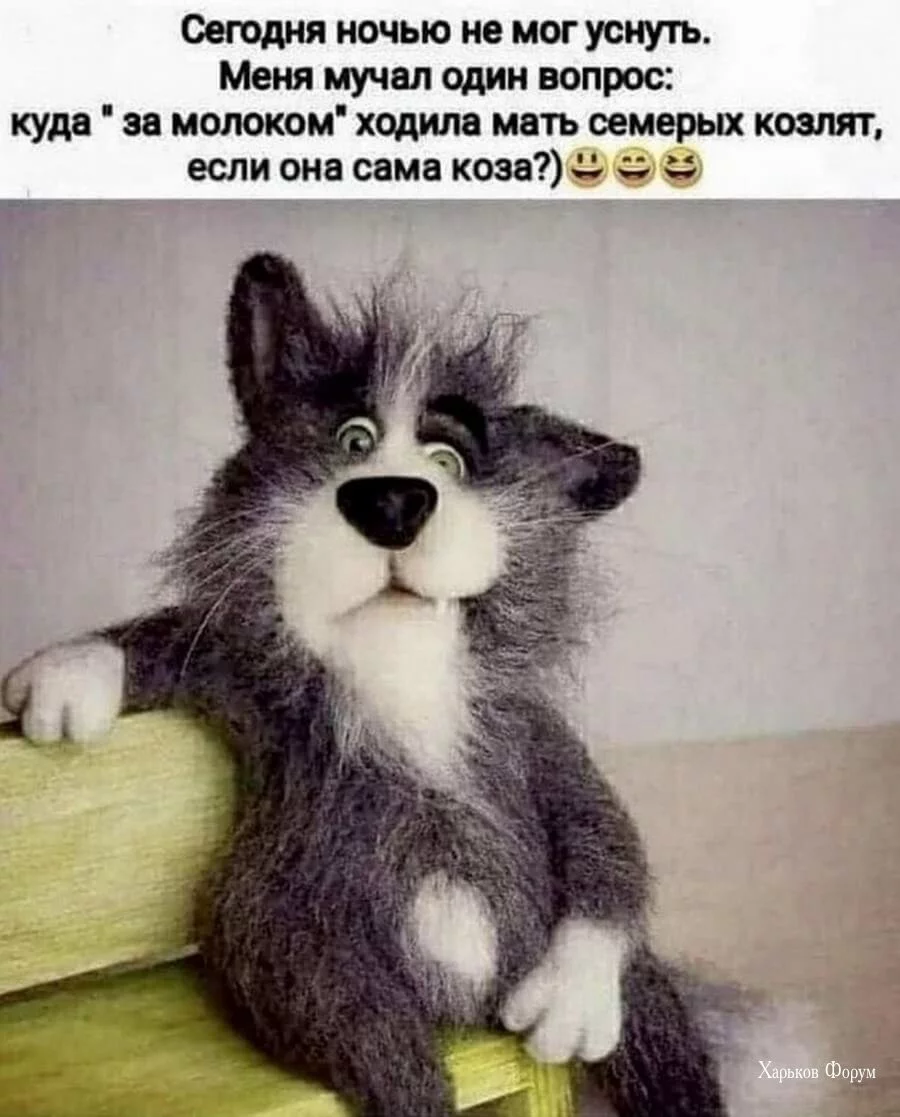275ef27126545bdd69.webp