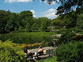275px-Lower_Central_Park_Shot_3.webp