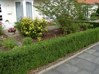 27657149.kxrovtgz4i.W665.webp