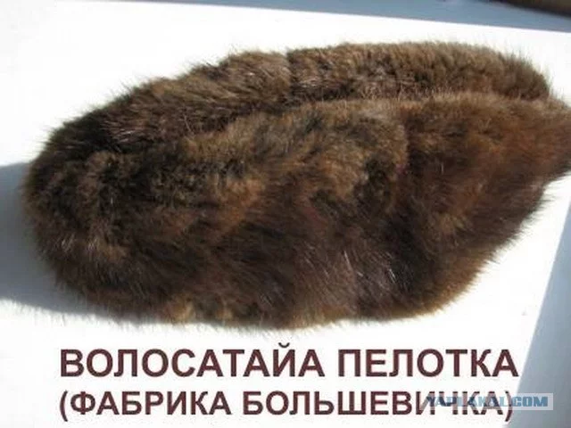 276663.webp