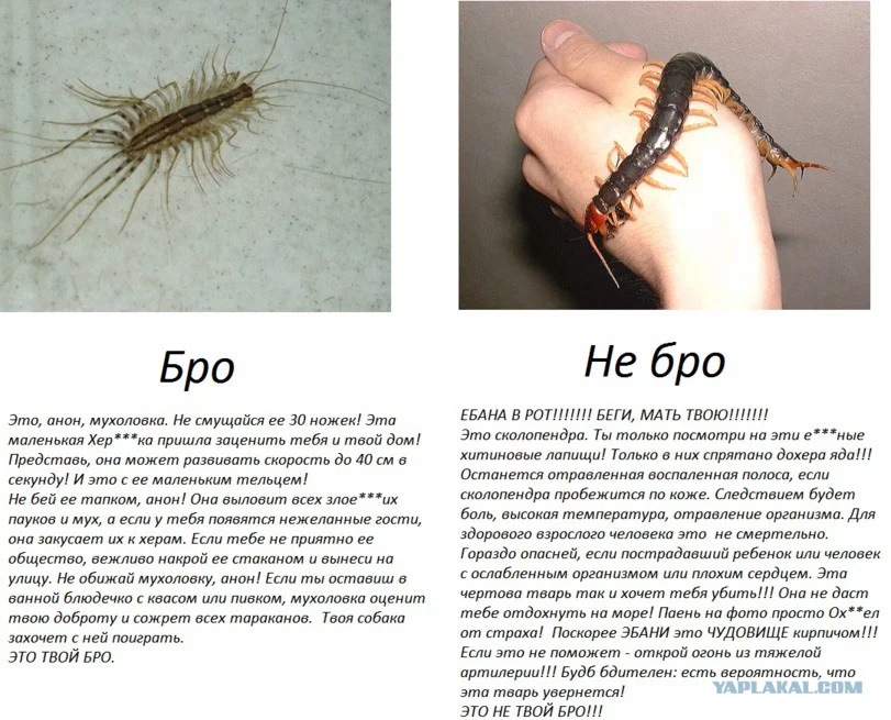 2781042.webp