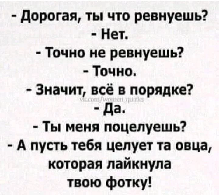 278cbf30995abaab039.webp