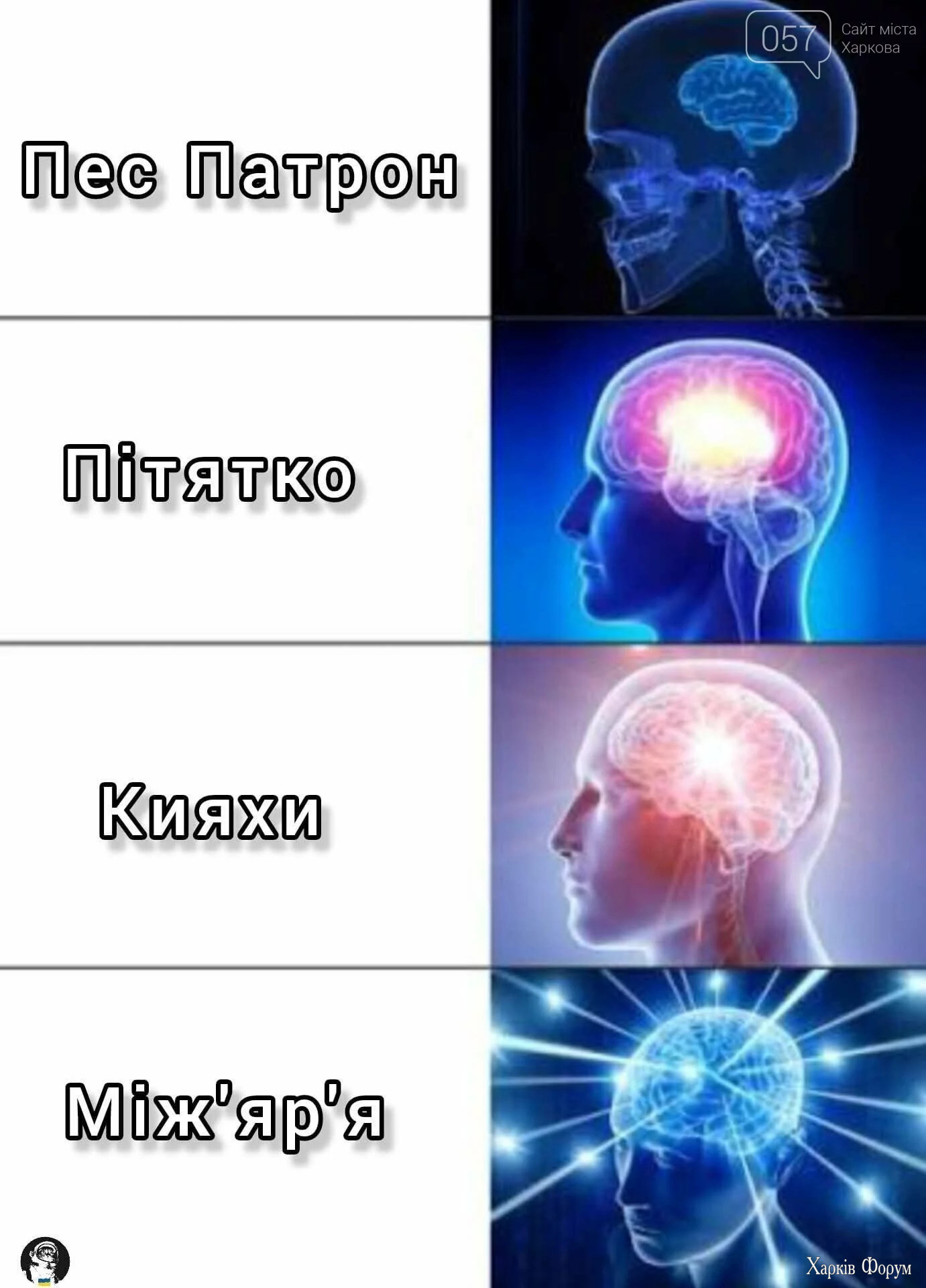 27_69020201a9f72.webp 27_69020201a9f72.webp