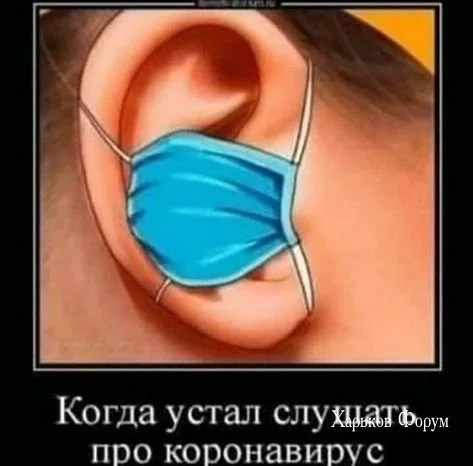 27a9f8047509d1c97505f0.webp