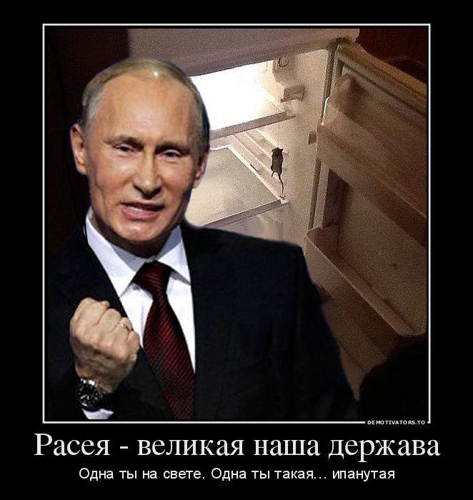 27aa1a63e43c2df05e83280699a862bc.jpg