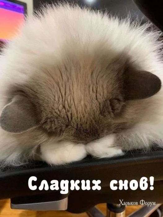 27ba4e57d92a37c6206bba0f.webp