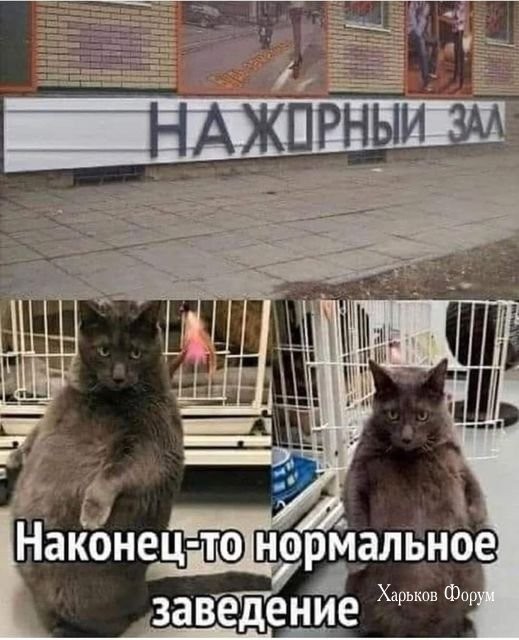 27c014115ded9cda5d4e8f06.jpg