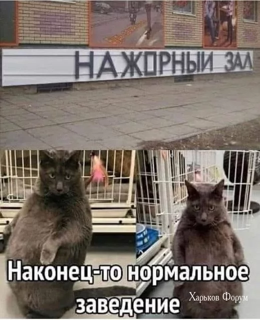 27c014115ded9cda5d4e8f06.webp