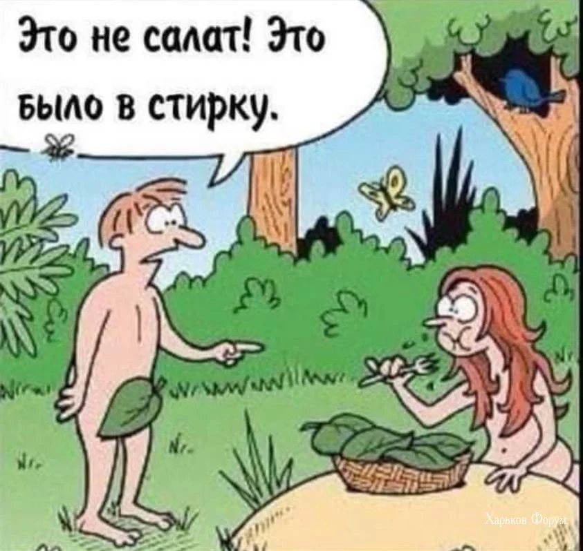 27ca0e9a428c39479e8406.webp