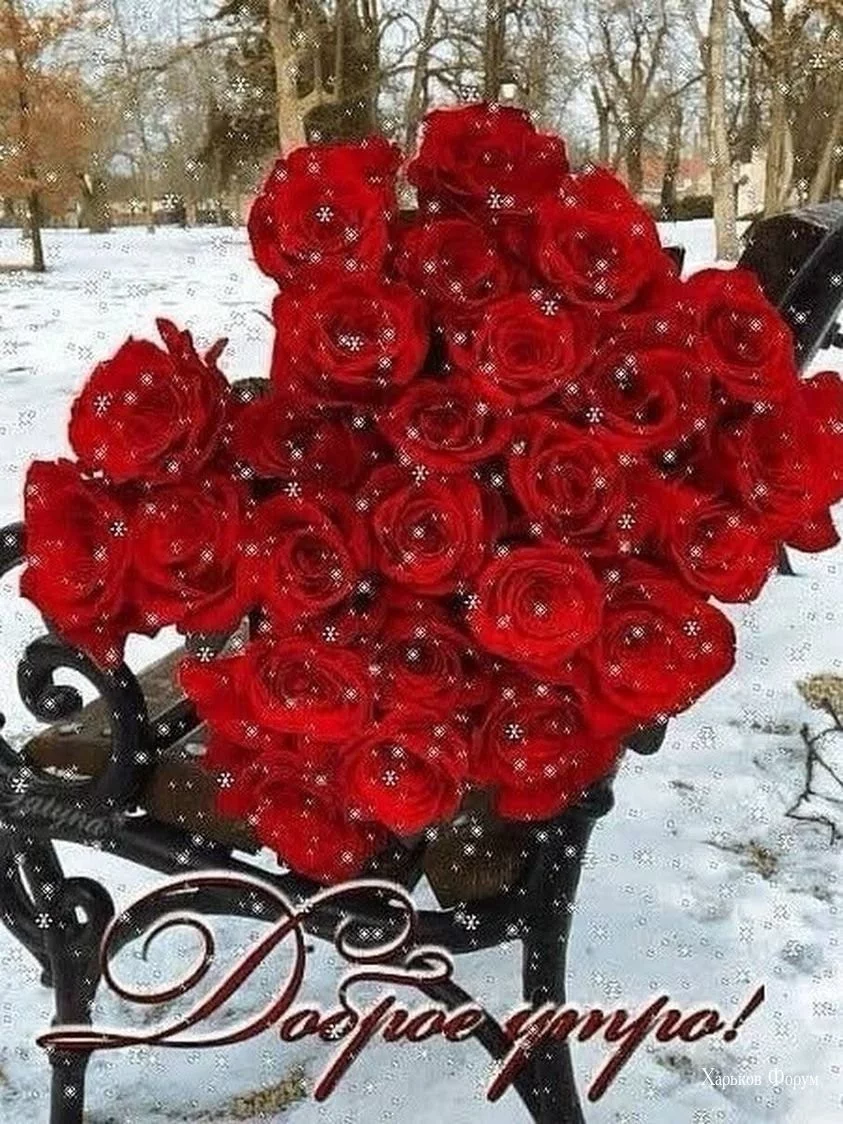 27db025bcf8c1021e.webp