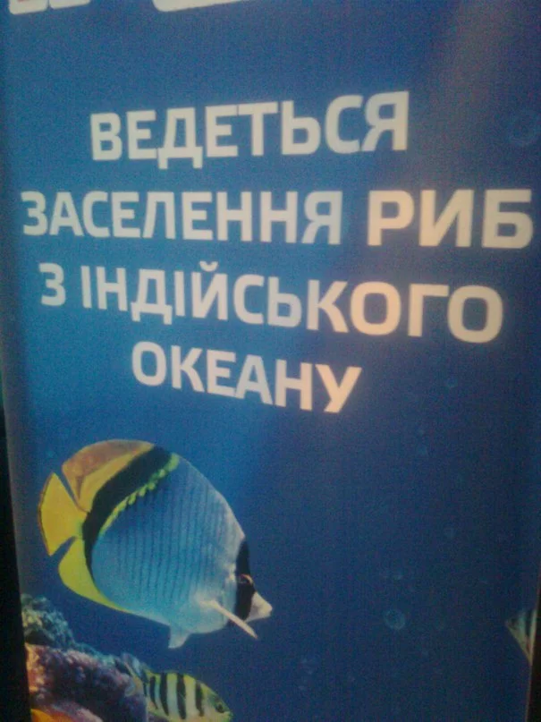 27DG6zb5LaI.webp