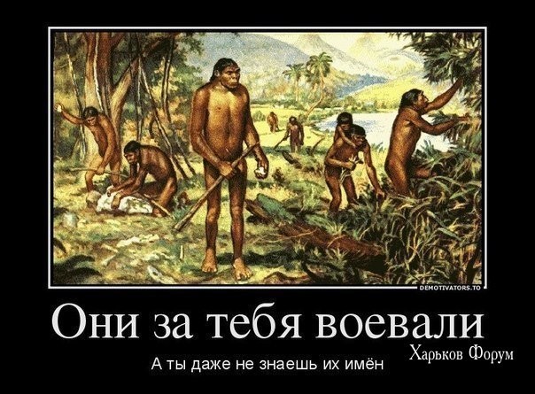 27f895aa01baad5993c.jpg