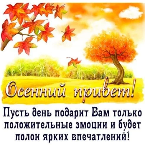 27fa048aa987e093ba7.webp