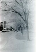 28.webp